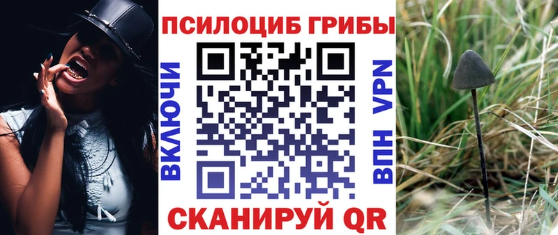 Галлюциногенные грибы MAGIC MUSHROOMS  Купить где  Амурск 